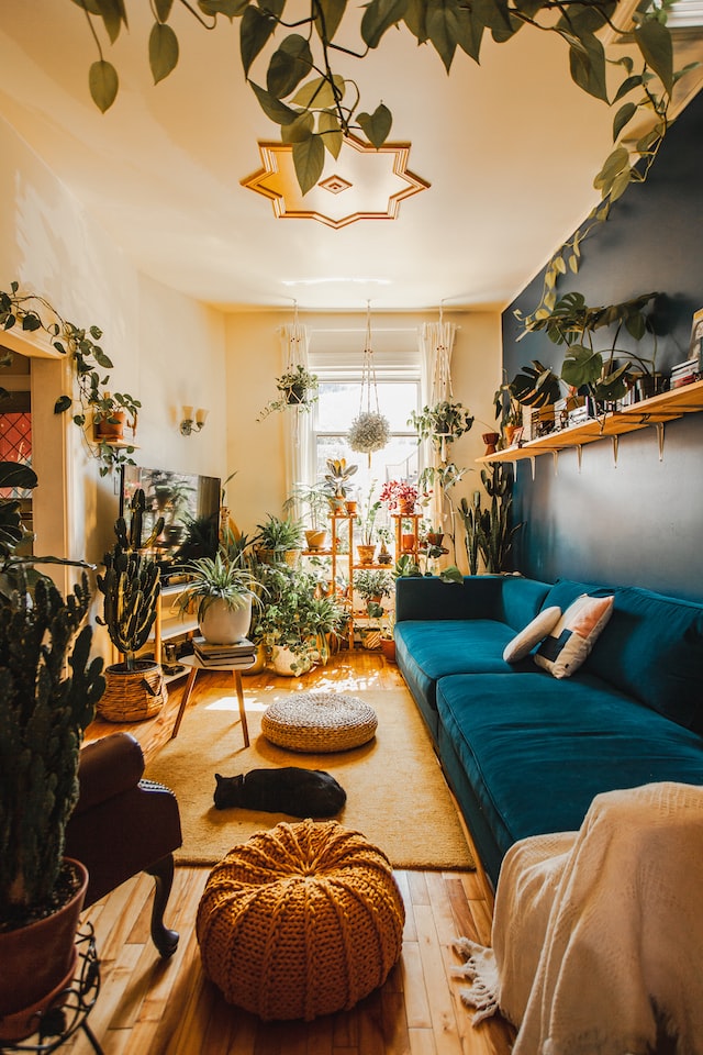 8 Benefits of Adding Plants to Your Home