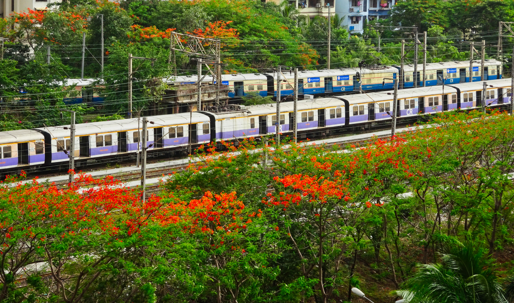 vashi railway station trains